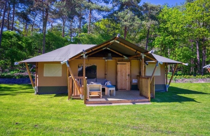 Alles über Glamping