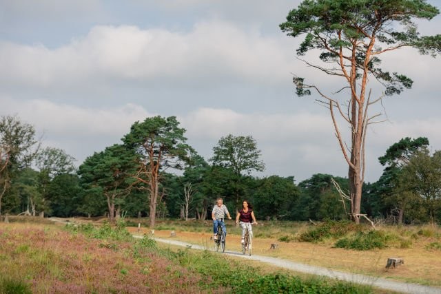 Drentsche Aa Landschaft