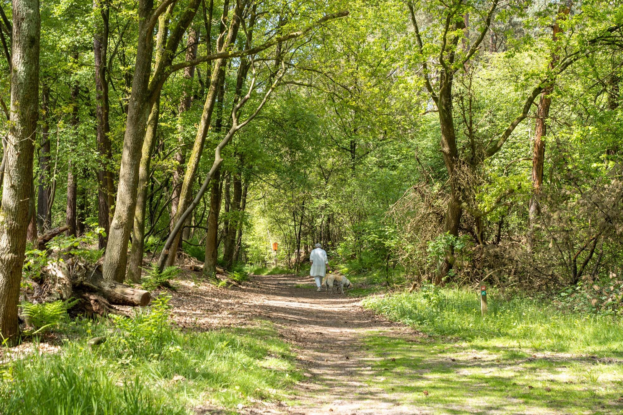 Drenthe erleben